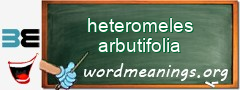 WordMeaning blackboard for heteromeles arbutifolia